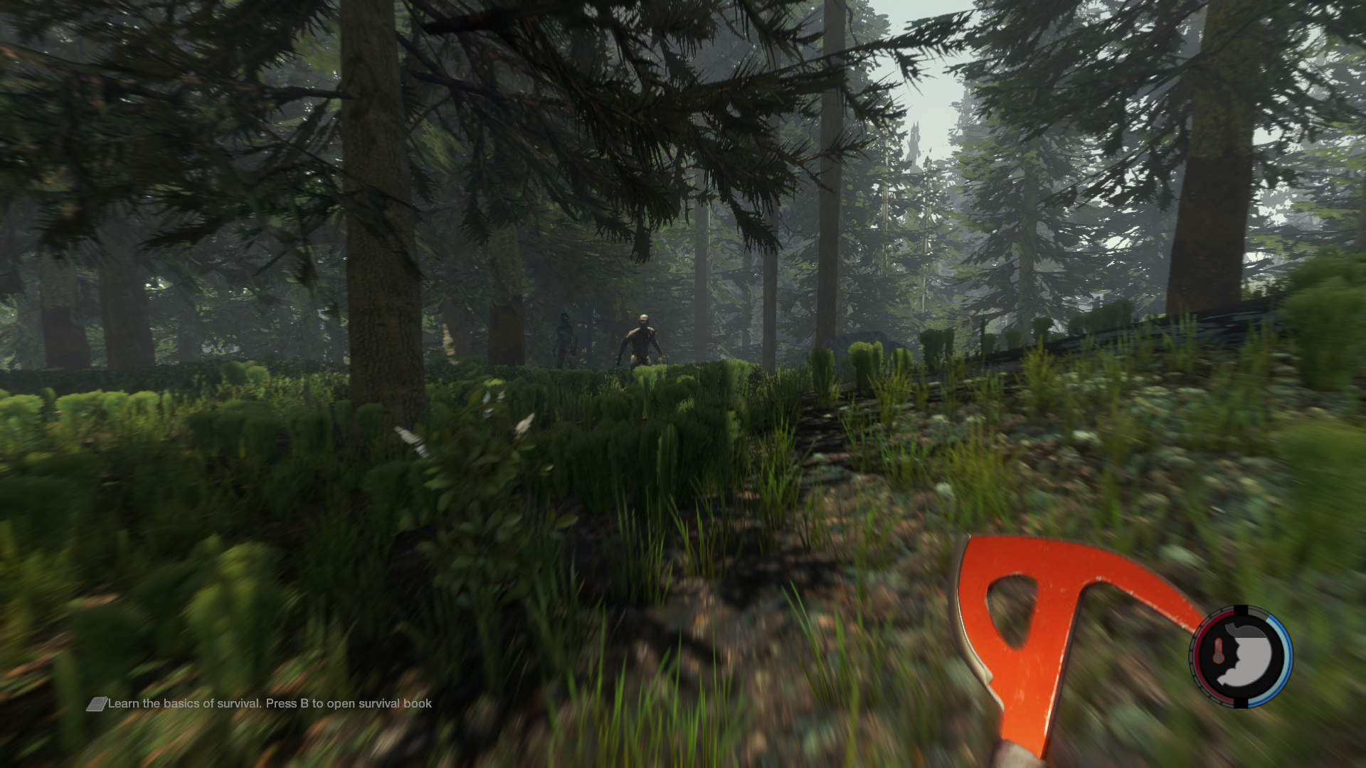 TheForest 2014-06-01 22-56-46-68