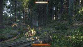 game 2014-11-05 13-51-07-17